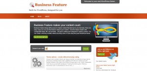 Business Feature Theme